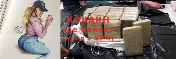 винт Алзамай