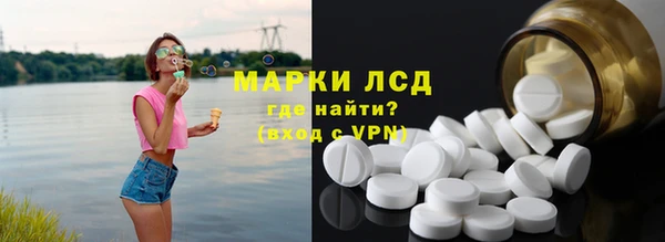 винт Алзамай