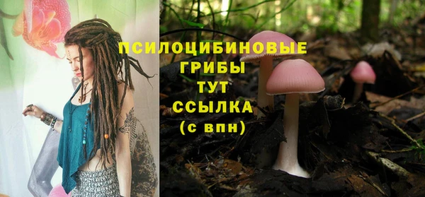 дживик Алексин