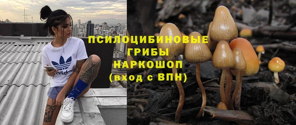 дживик Алексин