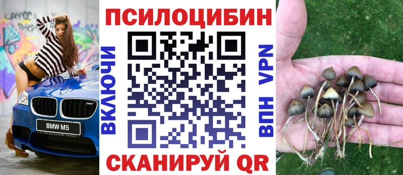 Псилоцибиновые грибы GOLDEN TEACHER  KRAKEN зеркало  Елабуга 