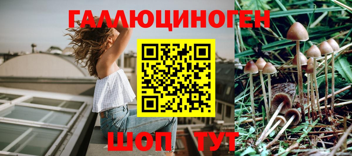Елабуга  Псилоцибиновые грибы мицелий  Галлюциногенные грибы Psilocybe  Вход с VPN 
